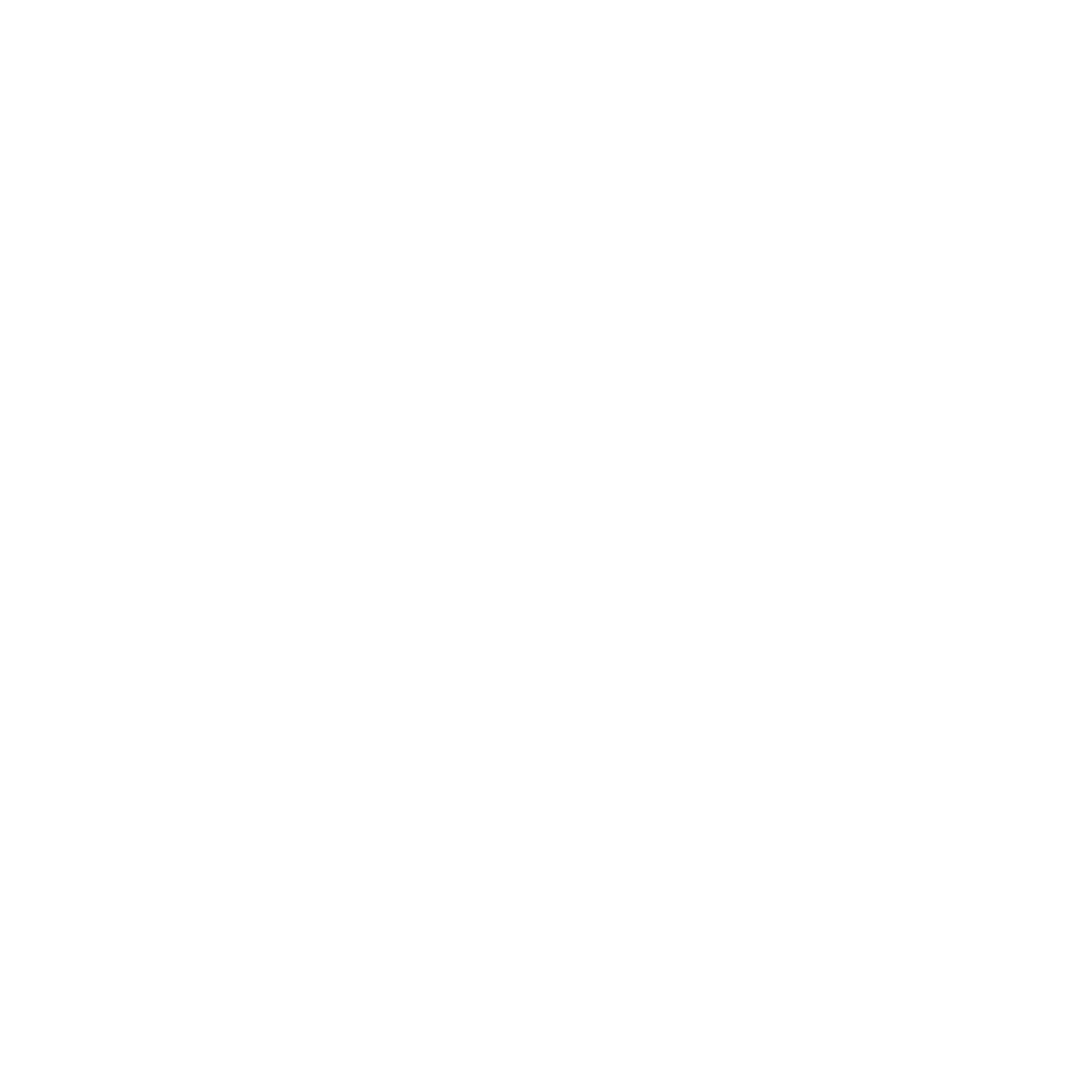 CasinoCoin logo
